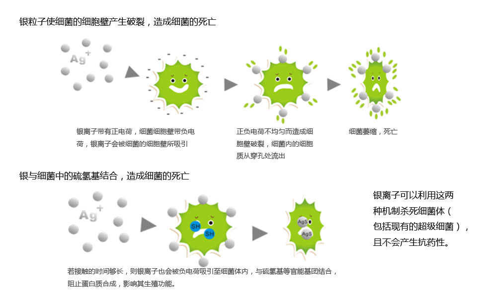 抗菌機理.jpg